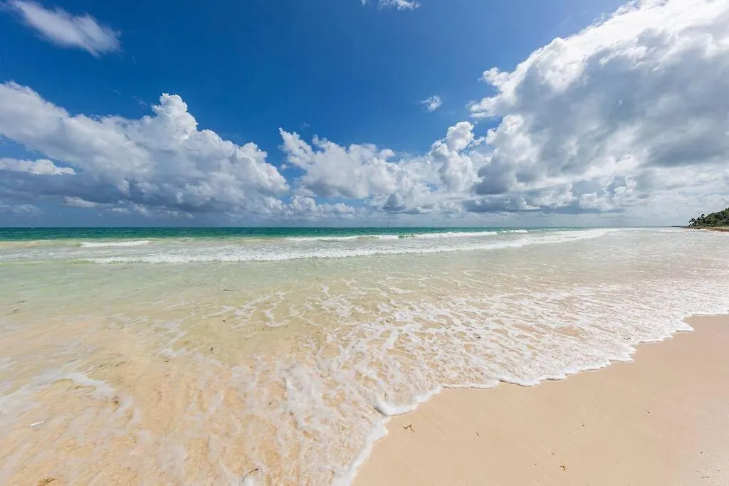 Rancho Pepo - Sian Ka'An Biosphere Beach House Villa Tulum Holiday home