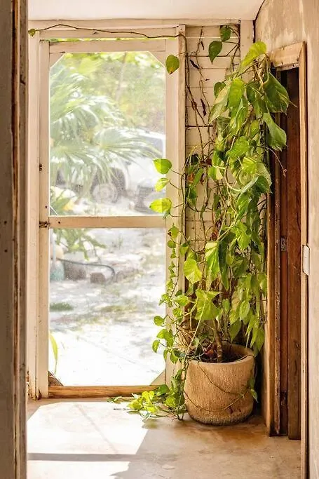 Rancho Pepo - Sian Ka'An Biosphere Beach House Villa Tulum Holiday home