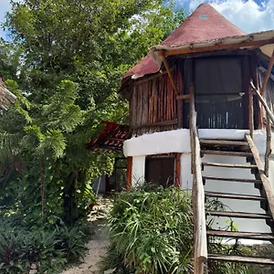 Tree House Pensión