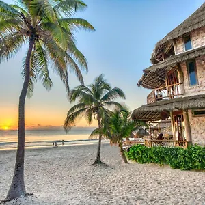 4* Hotel Alaya By Ahau Collection