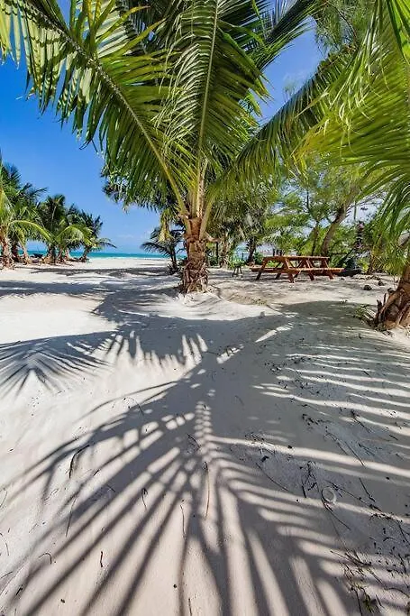 度假居 图卢姆Rancho Pepo - Sian Ka'An Biosphere Beach House别墅